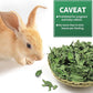 Nature Treats for Small Animals Dried Mint Leave 12 OZ - Dust Free Natural Green Fresh for Pets Rabbits, Rich in nutrients Alleviate Digestive Improve The Oral Health of Pets