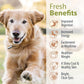 JustFoodForDogs DIY Nutrient Blend for Homemade Dog Food, Turkey & Whole Wheat Macaroni Recipe