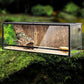 REPTI ZOO 67 Gallon Reptile Large Terrarium Newly Upgraded All Glass 48" x 18" x 18" Double Hinge Door with Top Ventilation Reptile Terrarium(Knock-Down)