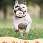 Upgrade Indestructible Dog Tennis Balls, Durable Bouncy Dog Toys for Aggressive Chewers, Teething & Fetch Game (4 White)