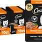 Cesar Filets in Gravy Wet Dog Food Rotisserie Chicken Flavor, 1.76 oz. Mini-Pouch (20 Count, Pack of 1)