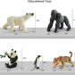 9 PCS Zoo Animal Toys for Kids 3-5 Realistic Plastic Wild Animal Figurine Toys Educational Learning Toy for Kids Boys Girls Toddlers