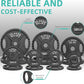 Olympic Cast Iron 2-Inch Weight Plates for Strength Training & Weightlifting, 255 Pounds Set, Multiple Packages