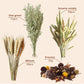 Natural Ear of Grain Flower&Herb Bedding Mate Habitat Decor, Adding Fun Hamster Accessories for Hamsters Gerbils Lemming