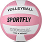 Official Size 5 Volleyball, Soft Indoor Outdoor Volleyball for Game Gym Training Beach Play, 2 Pcs Per Pack with Pump Kit