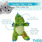 Caitec Presents Nala Cat Tucker The T-Rex Dino - Catnip Toy - Interactive Cat Toy - Chew Toy - Pillow Toy, 2 Pack
