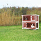 TRIXIE natura Outdoor Double Rabbit Hutch - Indoor Small Animal House, Bunny Cage with Two Sleeping & Play Areas - Includes a Non-Slip Ramp Hinged Roof & Two Pull-Out Trays - in Auburn