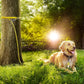 Tresbro 30FT Reflective Tie Out Cable for Dogs Up to 250 Pounds, Steel Wire Lead Leash Cable with Stainless Rotatable Buckle, Lightweight and Enduring, Dog Chains Outside for Outdoor, Yard, Yellow