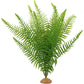 JIHAQUA Fake Fern Plants, Reptile Plastic Terrarium Decor, Reptiles Amphibians Tank Accessories for Crested Gecko Leopard Lizard Chameleon (Fern-L)