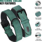 Didog Soft Padded Leather Dog Collar and Leash Set, Adjustable Dog Lead and Collar Set with Metal Buckle, Breathable Pet Collars with 4FT PU Leather Leash for Small Medium Dogs, Green, M
