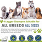 4-Legger Certified Organic Dog Shampoo - All Natural and Hypoallergenic with Aloe and Lemongrass, Soothing for Normal, Dry, Itchy or Allergy Sensitive Skin - Biodegradable - Made in USA - 16 oz