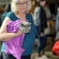 Cozy Comfort Carrier - Large Lavender Cat Carrier Soft, Cat Restraint Bag and Cat Sling Carrier for Grooming, Vet Visits, Medication Administration, Dental Care, and Nail Trimming
