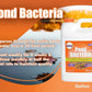 PondWorx Pond Bacteria - Formulated for Large Ponds, Water Features and Safe for Koi - Gallon