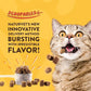NaturVet Scoopables Quiet Moments Cat Calming Aid - Promotes Calm with Stressful Events Storms, Fireworks, Travel, Separation Anxiety - Cat Health Supplement w/Melatonin - Salmon Flavored | 5.5oz Bag