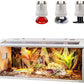 Prolee Bearded Dragon Tank 70 Gallon, Reptile Enclosure, Snake Tank, Reptile Terrarium, Built-in Light Fixtures with Switch, 48" L x 20" H x 20" D