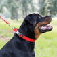 Dogline Biothane Waterproof Dog Collar with Herm Sprenger Black Stainless Steel Quick Release Buckle – Heavy Duty Tactical Durable Collar for Dogs – Comfortable and Safe Pet Collar W 1" L 15-25" Red