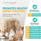 AminAvast Small Dogs & Cat Kidney Support - Promotes Healthy Kidney Support in Cats & Small Dogs - 300mg, 60 Capsule