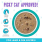 Weruva B.F.F. OMG - Best Feline Friend Oh My Gravy!, QT Patootie! with Chicken & Turkey in Gravy Cat Food, 5.5oz Can (Pack of 8)