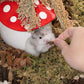 Niteangel Small Animal Snack & Treats - Small Critter Natural Treat for Dwarf Syrian Hamsters Gerbils Mice Sugar Glider Hedgehogs Chickens Birds (Freeze-Dried Grasshopper)