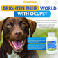 Ocupet Advanced Vision & Eye Health Supplement for Cats & Small-Medium Dogs, Packed with Natural B12, Grape Seed Extract & Lutein to Support Pets with Diabetes or Eye Related Conditions-90 Capsules