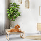 Sisal Cat Scratcher Bed for Indoor Cats Hammock for Scratching Pad, 2 in 1 Elevated Cat Sisal Chair with 2 Toys Ball for Scratcher Lounge,Kitty Bench,Dog Bed,Natural Lounger Chair