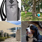 Stainless Steel Spring Snap Hook Carabiner M6 M8 M10 Heavy Duty Carabiner Clip Spring Clips Keychain 5/16 Inch Quick Links for Backpack, Hammocks, Camping, Swing(16/30/10PCS)