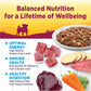 Wellness Petite Entrées Shredded Medley with Braised Lamb, Venison, White Sweet Potatoes & Carrots, 3-Ounce Cup (Pack of 12)