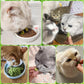 HavenJanny 120g Freezed Drying Cat Grass Treats for Cats, Cat Grass Teething Stick Snacks for Cats Hairball Removal and Teeth Cleaning