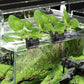 2Pcs 3 Holes Upgraded Aquatic Plant Cup Aquarium Plant Holder for Tank, Hanging Aquarium Plant Holder, Aquarium Aquatic Plant Cultivation, Aquarium Plant Decoration.