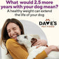 Dave's Pet Food Weight Management Dog Food (Turkey & Vegetables), Made in USA, Weight Loss, Soft, Canned Wet, 13.2oz (12 Pack)