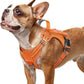 rabbitgoo Dog Harness Small Sized No Pull, Tactical Service Pet Vest with Molle and Control Handle, Adjustable and Reflective Military Harness for Easy Walking and Training, Orange, S