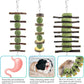 ERKOON Bunny Chew Toys, Rabbit Chew Toys for Teeth Grinding, Improve Dental Health, 100% Natural Apple Wood Timothy Grass Cake Treats for Rabbits Guinea Pigs Chinchillas Bunnies Hamsters (3 Pcs)