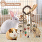 Bissap Bunny Chew Toy, Rabbits Cage Hanging Chew Toys and Treats Rattan Ring with Snacks Water Grass Wooden Block Carrot for Guinea Pigs Chinchillas Hamsters Rats and Other Small Pets Teeth Grinding