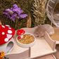 Niteangel Small Animal Snack & Treats Toy - Small Critter Natural Treat for Dwarf Syrian Robo Hamsters Gerbils Mice Lemmings Sugar Glider Hedgehogs Chickens Birds or Other Small-Sized Pets
