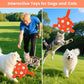 Dog Toys Soccer Ball with Straps, Durable Dog Balls, Interactive Dog Toys for Tug of War, Floating Water Puppy Toys for Indoor/Outdoor – Fun Dog Birthday Gift for Small Medium Dogs, 6 Inch