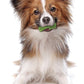 Nylabone Nutri Dent Dog Dental Chews - Natural Dog Teeth Cleaning & Breath Freshener - Dental Treats for Dogs - Fresh Breath Flavor, Mini (160 Count)