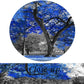KREATIVE ARTS Canvas Print Wall Art Painting Contemporary Blue Tree In Black And White Style Fall Landscape Picture Modern Giclee Stretched And Framed Artwork