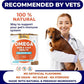 Omega 3 Fish Oil for Dogs Bundle - Skin&Coat Chews - Dry&Itchy Skin Relief + Allergy Support - EPA&DHA Fatty Acids - Natural Salmon Oil Chews Promotes Heart, Hip&Joint Support -360 Chews - Made in USA