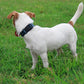 Mikivery Nylon Dog Collar with Quick Release Buckle Soft Adjustable Sturdy for Small Medium Large Dogs Haze Blue,M
