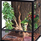 REPTI ZOO Reptile Glass Terrarium, 18" x 18" x 24" Knock-Down Reptile Habitat Tank with Double Hinge Door & Top Screen Ventilation and Side Mesh Ventilation, 30 Gallon Large Reptile Terrarium
