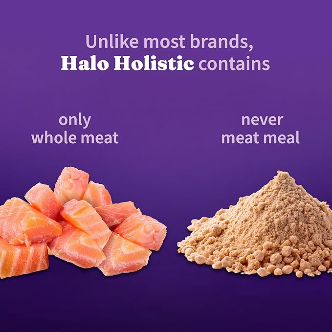 Halo Holistic Kitten Food, Wild Caught Salmon & Whitefish Recipe, Grain Free Dry Cat Food, Complete Digestive Health, 10 lb Bag
