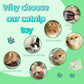 Natural Cat Toys Set with Catnip Fish & Bone,Catnip Plush Toy & Natural Silvervine Stick Cage Balls & cat nip for Cats Lolipop, 8-Piece cat Toys for Indoor Cats Interactive Pet Toys