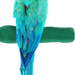 Comfort Grip Safety Perch for Bird Cages - Pedicure Perch for Birds to Keep Nails and Beaks in Top Condition - Safe Easy to Install Bird Cage Accessories - XL 13.5"