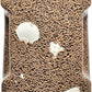 Aquatic Foods Inc. Shrimp Grower 45% Protein 1/16" x 3/8" Sinking Pellets with 15 Calcium Enriched Food Disks for Shrimp, Snails, Crabs, Catfish, Plecos, Bottom Fish, All Tropical Fish...12oz Jar