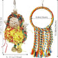 Bird Hoop Swing and Parakeet Toys,Natural Sola Balls and Shredding Hanging Toy,Birds Rope Swing,Suitable Small and Medium-Sized Parrots Toys,Birds Toy for Cockatiels,Conures,Lovebird