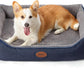 Orthopedic Dog Beds for Medium Dogs, Durable Egg Crate Foam Sofa Dog Bed wit Washable Removable Cover,Waterproof Lining,Pet Bed for Large Dogs (Navy Blue-Velvet, 31.5" L x 25.2" W x 7" Th)