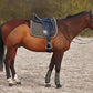 HORZE Marquess Quilted Quick-Dry Dressage Saddle Pad with Crystal Trim