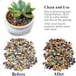 5 lbs Succulent Cactus Soil Potting Mix,1/4 inch Pumice Pebbles Mix Horticultural Lava Rock for Indoor Plants, Bonsai, Orchid
