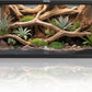 50 Gallon Bearded Dragon Tank, Reptile Enclosure for Easy Maintenance, Front Opening Reptile Tank with Top Screen Ventilation & Glass Sliding Door 36''x18''x18''