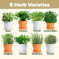 HOME GROWN 𝗣𝗥𝗘𝗠𝗜𝗨𝗠 𝗛𝗘𝗥𝗕 𝗞𝗜𝗧 8 Herb Seeds Garden Kit, Complete Indoor Planter Gift with Basil Cilantro Mint & More, Unique Kitchen Growing Set for Women Men, Birthday Housewarming Present